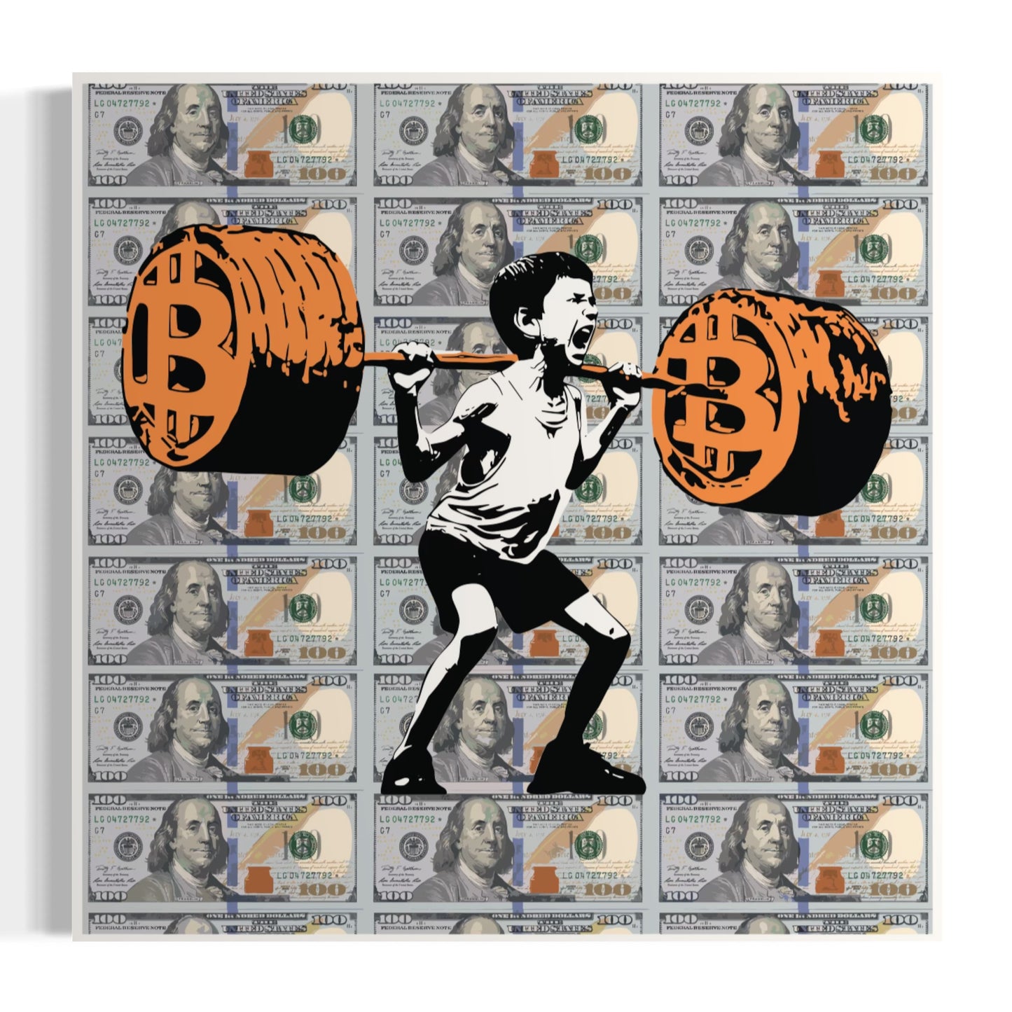 NEW! Dollar Collection 40x40